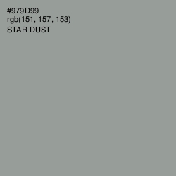 #979D99 - Star Dust Color Image